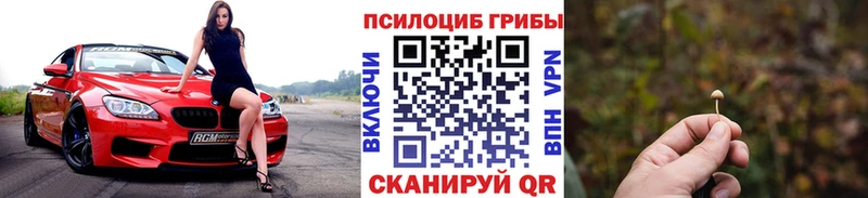 купить наркотик Элиста Псилоцибиновые грибы ЛСД