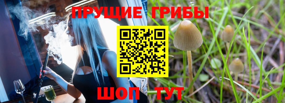 Галлюциногенные грибы Cubensis Элиста