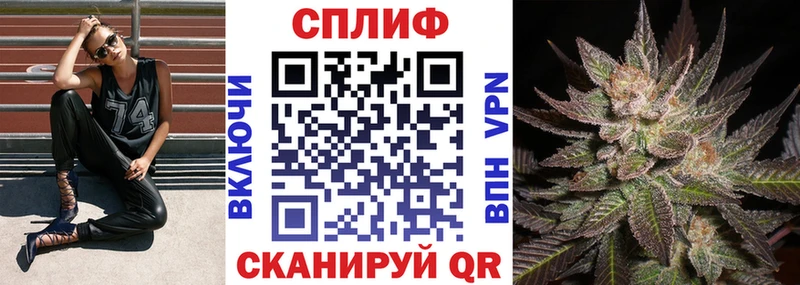МАРИХУАНА ГИДРОПОН Элиста